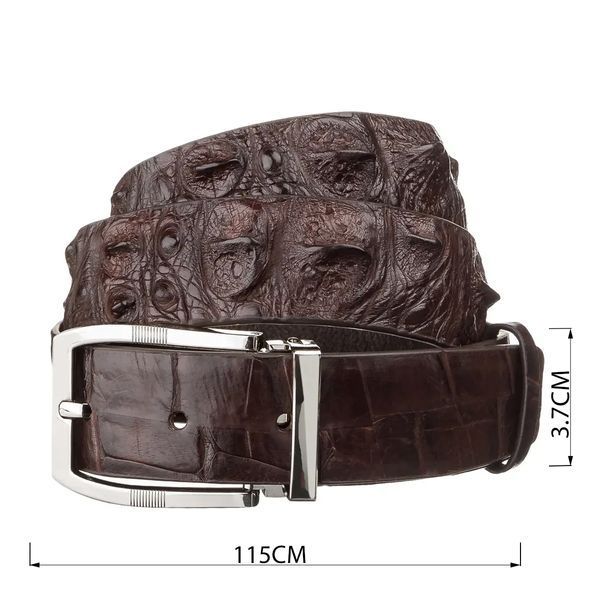 Ремень мужской CROCODILE LEATHER 18178 из натуральной кожи крокодила Коричневый 18178 фото