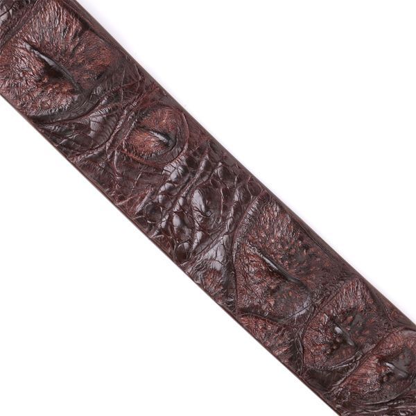 Ремень мужской CROCODILE LEATHER 18178 из натуральной кожи крокодила Коричневый 18178 фото