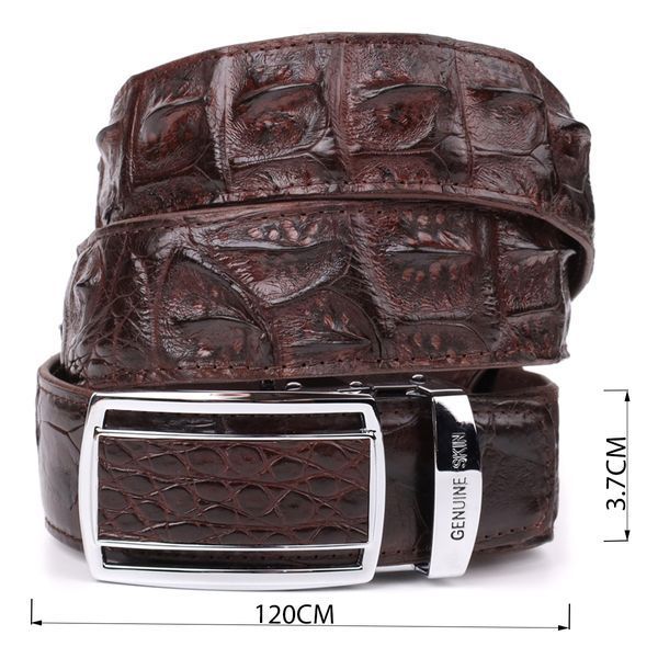 Ремінь-автомат CROCODILE LEATHER 18235 з натуральної шкіри крокодила (каймана) Коричневий 18235 фото