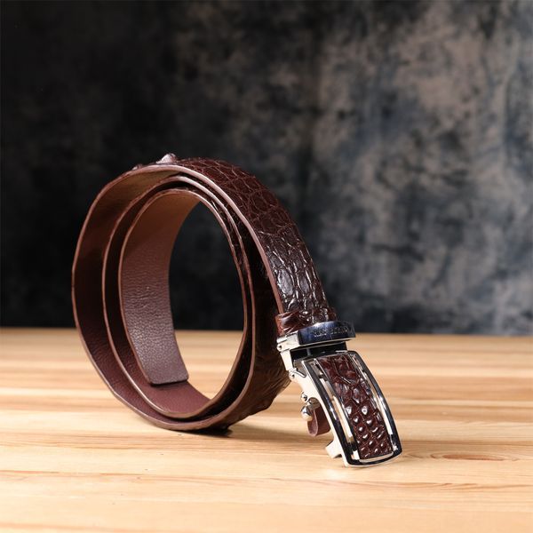 Ремень-автомат CROCODILE LEATHER 18240 из натуральной кожи крокодила Коричневый 18240 фото