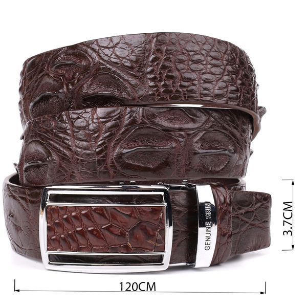 Ремень-автомат CROCODILE LEATHER 18240 из натуральной кожи крокодила Коричневый 18240 фото