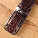Ремень-автомат CROCODILE LEATHER 18240 из натуральной кожи крокодила Коричневый 18240 фото 13